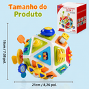 BusyCube Master™  Cubo Sensorial Montessori 22 em 1 para Coordenação Motora, Aprendizado e Desenvolvimento Infantil