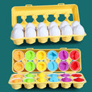 OvoMente Montessori™  Quebra-Cabeça Educativo de Ovos com Rosca, Cores e Formas para Coordenação Motora Infantil