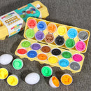 OvoMente Montessori™  Quebra-Cabeça Educativo de Ovos com Rosca, Cores e Formas para Coordenação Motora Infantil