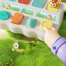 Caixa Pop Montessori™  Brinquedo Educativo de Animais para Coordenação Motora, Lógica e Aprendizado Infantil