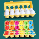 OvoMente Montessori™  Quebra-Cabeça Educativo de Ovos com Rosca, Cores e Formas para Coordenação Motora Infantil
