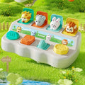 Caixa Pop Montessori™  Brinquedo Educativo de Animais para Coordenação Motora, Lógica e Aprendizado Infantil