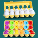 OvoMente Montessori™  Quebra-Cabeça Educativo de Ovos com Rosca, Cores e Formas para Coordenação Motora Infantil