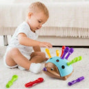 HedgePop Montessori™  Brinquedo Sensorial Ouriço Educativo para Coordenação Motora e Foco
